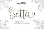 Setta script free typeface