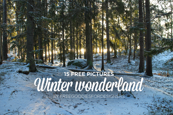 15 Free Images Winter Wonderland