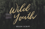 Wild Youth Free Font